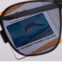 Foldable Stainless Steel Frame Polarized Sunglasses Unisex – UV400 Protection